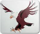 PHES Logo.jpg